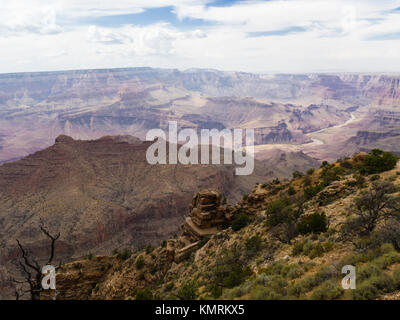 Mit Blick auf den Grand Canyon National Park vom South Rim Stockfoto