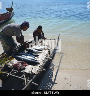 Vater und seine Söhne mit fangfrischem Fisch auf Fischerboot Stockfoto