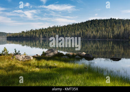 Ruhiges Wasser spiegelt die Bäume auf hellen, sonnigen Tag an einem alpinen See in den Lassen Volcanic National Park Stockfoto