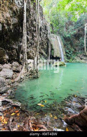 Erawan Wasserfalls Erawan Nationalpark Kanchanaburi, Thailand Stockfoto