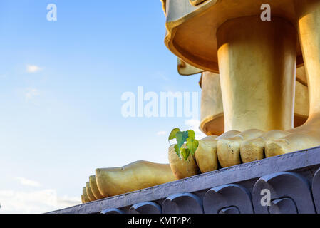 Bodhi-baum (Ficus Religiosa) zunehmend von den Füßen der goldene Buddha Statue. Stockfoto