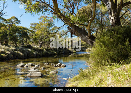 Die Thredbo River im Thredbo Diggings in Kosciuszko National Park in den Snowy Mountains im Süden von New South Wales. Stockfoto