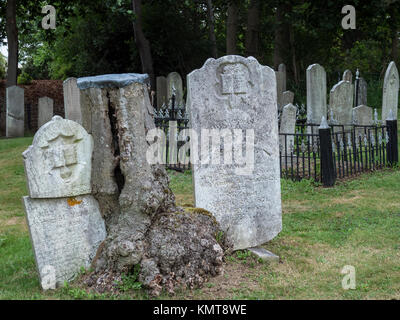 Alte französische Friedhof, Lunenburg, Nova Scotia, Kanada. Stockfoto