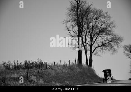 Schwarzweiß-Foto von Amish Buggy auf der Straße im Holmes County, Ohio, USA getrieben zu werden. Stockfoto