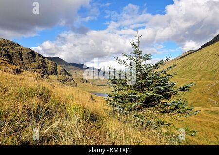 Highland Glen Croe Argyll, Schottland, Großbritannien. Stockfoto