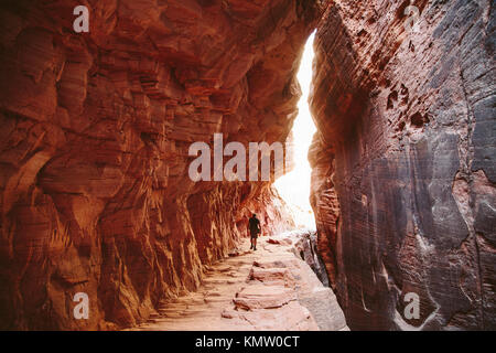 Ein Wanderer geht auf einem Felsen weg in einen Canyon mit schmalen roten Felswände im Zion National Park in Utah. Stockfoto