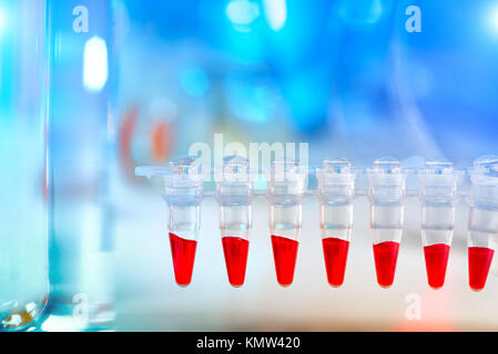 Wissenschaftlicher Hintergrund mit Text in Blau und Rot. Nahaufnahme auf Kunststoffrohre für die DNA-Analyse in der PCR. Stockfoto