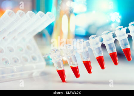 Wissenschaftlicher Hintergrund mit Text in Blau und Rot. Nahaufnahme auf Kunststoffrohre für die DNA-Analyse in der PCR. Stockfoto