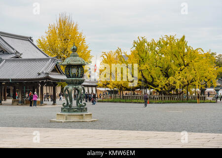 Kyoto, Nov 22: Schöne Ginkgobaum in Gelb am 22.November 2017 Nishi Hongan-ji, Kyoto, Japan Stockfoto