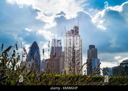 Blick auf die Stadt London Wolkenkratzer (Gurke, Cheesegrater, Heron Tower, Tower 42) mit Pflanzen und Gras im Vordergrund, London, UK Stockfoto