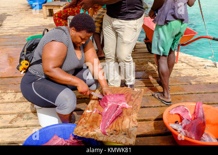 Frau ausnehmen und Schneiden eines frisch gefangenen Thunfisch im Santa Maria pier, Kap Verde, Afrika Stockfoto