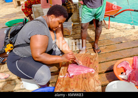 Frau ausnehmen und Schneiden eines frisch gefangenen Thunfisch im Santa Maria pier, Kap Verde, Afrika Stockfoto