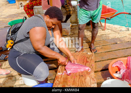 Frau ausnehmen und Schneiden eines frisch gefangenen Thunfisch im Santa Maria pier, Kap Verde, Afrika Stockfoto