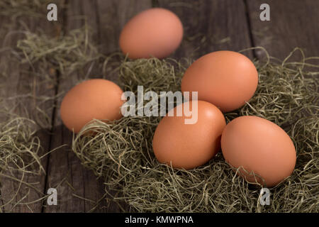 5 braune Eier auf einer hölzernen Oberfläche Stockfoto