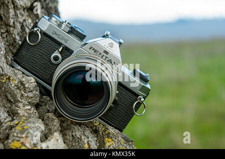 Classic Vintage Pentax MX 35 mm Robuste, professionelle Filmkamera mit Pentax FA Limited 77mm f/1.8 Objektiv im Baum mit einer Wiese und Tal hinter Stockfoto