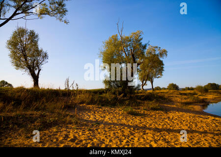 Sandstrand in der Nähe der See an einem Sommermorgen. Schöne Landschaft. Stockfoto