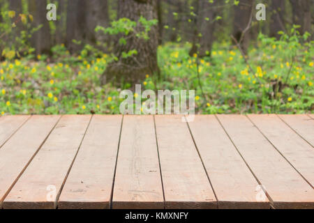 Holz- Pflaster in einem Park. Hintergrund für Collagen Stockfoto