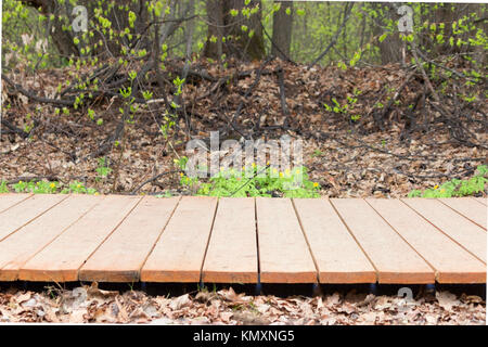 Holz- Pflaster in einem Park. Hintergrund für Collagen Stockfoto