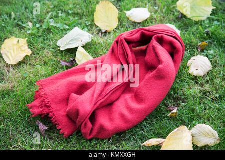 Weibliche Schal auf Gras mit gelben Blätter im Herbst Stockfoto
