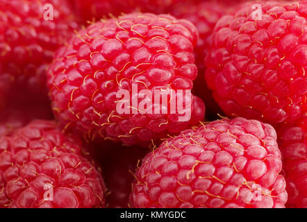 Close-up of fresh ripe organic raspberries Stockfoto