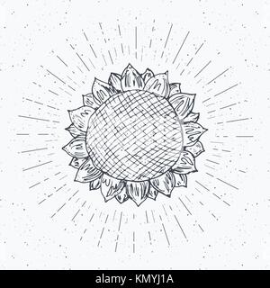 Sonnenblume Skizze, vintage Label, Hand gezeichnet Grunge texturierte Abzeichen, Retro logo Vorlage, Typografie design Vector Illustration. Stock Vektor