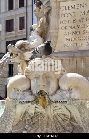 Taube sitzend auf eine Skulptur, Brunnen auf der Piazza della Rotonda in Rom, Italien Stockfoto