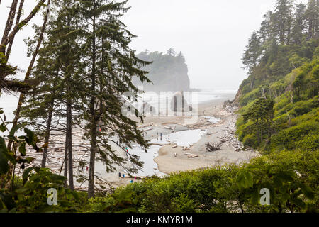 Ruby Strand am Pazifik in Olypmic National Park im Staat Washington in den Vereinigten Staaten Stockfoto