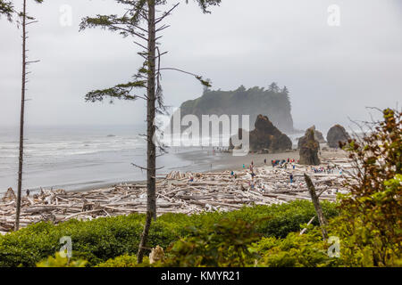 Ruby Strand am Pazifik in Olypmic National Park im Staat Washington in den Vereinigten Staaten Stockfoto