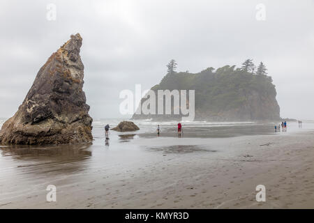 Ruby Strand am Pazifik in Olypmic National Park im Staat Washington in den Vereinigten Staaten Stockfoto