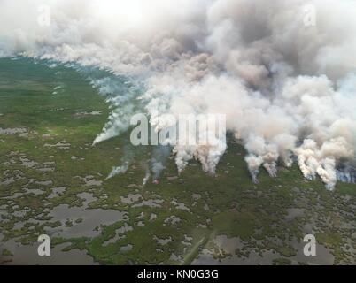 Die pintail Wildfire brennt Morgen des Sumpfes in der Sabine National Wildlife Refuge April 26, 2014 in Hackberry, Louisiana. Das Feuer fing an, von einem Blitzschlag. (Foto von Jamie Farmer über planetpix) Stockfoto