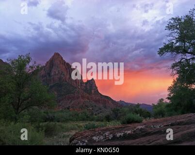 Ein Sturm Formen in den Himmel, als die Sonne über der Wächter Rock Mountain in der Zion National Park August 29, 2012 in der Nähe von Springdale, Utah. (Foto von Sarah stio über planetpix) Stockfoto