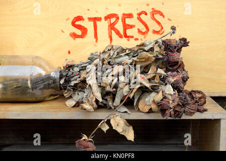 Verwelkte Rosen in einem Glas auf den hölzernen Regal gelegt, ein Wort Stress im Hintergrund geschrieben Stockfoto