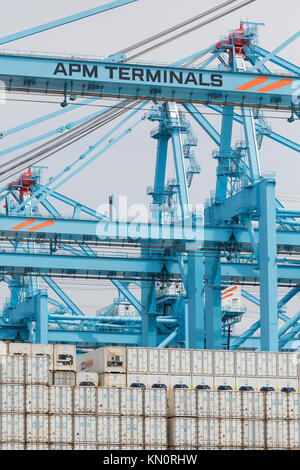 Eine von mehreren Containerterminals im Hafen von Rotterdam Stockfoto