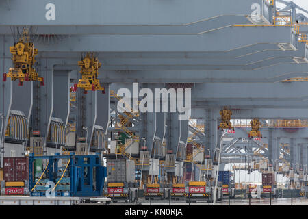 Eine von mehreren Containerterminals im Hafen von Rotterdam Stockfoto