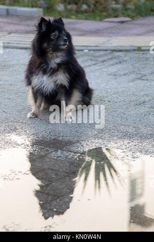 Das Sitzen auf dem Boden und starre auf der linken Seite Stockfoto