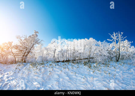 Deogyusan Berge von Schnee im Winter überdacht ist, Südkorea. Stockfoto