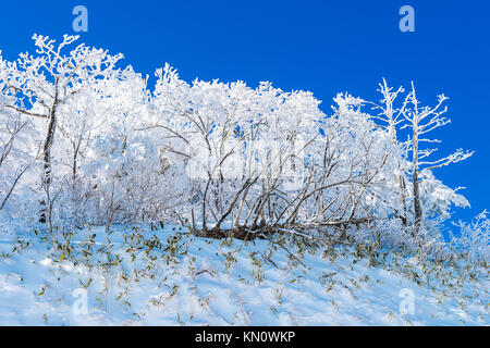 Deogyusan Berge von Schnee im Winter überdacht ist, Südkorea. Stockfoto