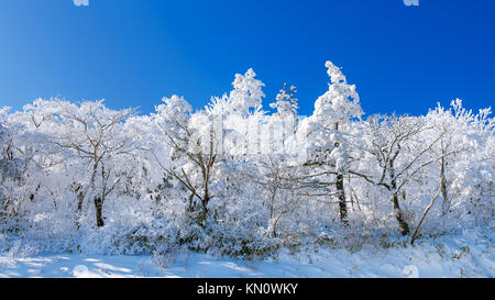 Deogyusan Berge von Schnee im Winter überdacht ist, Südkorea. Stockfoto