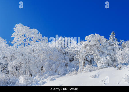 Deogyusan Berge von Schnee im Winter überdacht ist, Südkorea. Stockfoto