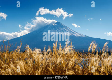 Fuji Berge und kawaguchiko See im Herbst, Japan. Stockfoto