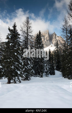 Die Dolomiten Passo Falzarego Stockfoto