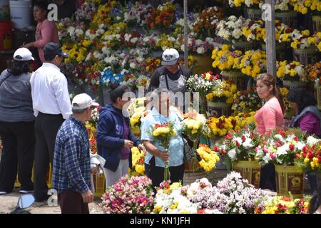 Lima, Peru - November 2., 2017: Blumen zum Verkauf in der Nähe des Parque del Unsere Niederlassung Friedhof vor der Tag der Toten. Lima, Peru Stockfoto