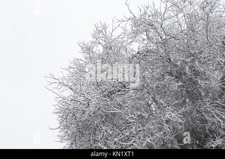 Wickford, Essex, Großbritannien. 10 Dez, 2017. UK Wetter: Am frühen Morgen Schneefall deckt Essex Credit: Ben Rektor/Alamy leben Nachrichten Stockfoto