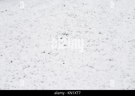 Wickford, Essex, Großbritannien. 10 Dez, 2017. UK Wetter: Am frühen Morgen Schneefall deckt Essex Credit: Ben Rektor/Alamy leben Nachrichten Stockfoto