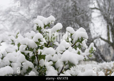 Wickford, Essex, Großbritannien. 10 Dez, 2017. UK Wetter: Am frühen Morgen Schneefall deckt Essex Credit: Ben Rektor/Alamy leben Nachrichten Stockfoto