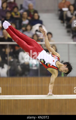 Sky Hall Toyota, Aichi, Japan. 10 Dez, 2017. Wataru Tanigawa (JPN), 10. Dezember 2017 - Turnen: Toyota International Gymnastics Wettbewerb 2017 Männer Apparate Parallel Bars im Sky Hall Toyota, Aichi, Japan. Credit: YUTAKA/LBA SPORT/Alamy leben Nachrichten Stockfoto