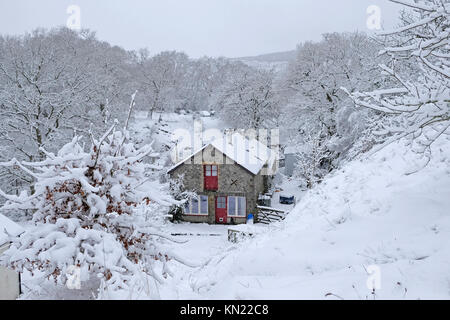 Szene Winter im Schnee und hübsches Ferienhaus aus Stein Haus durch die Bäume mit der roten Tür und Fenster Verkleidung liegt inmitten von Schnee bedeckt Zweige von Bäumen und Sträuchern Dezember 2017 zu Weihnachten in Carmarthenshire Wales UK KATHY DEWITT Stockfoto