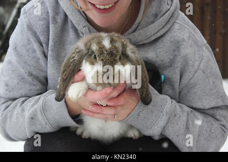 Oxfordshire, UK. 10 Dez, 2017. Sonntag, Dezember 10th, verschneite Landschaft in England. Kaninchen ging es durch die Eigentümer. Rosanna Marie Saracino/Alamy Live News Credit: Rosanna Saracino/Alamy leben Nachrichten Stockfoto