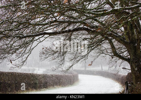 Windsor, Großbritannien. 10. Dezember, 2017. Schnee fällt in einer ruhigen Ecke von Windsor Great Park. Credit: Mark Kerrison/Alamy leben Nachrichten Stockfoto