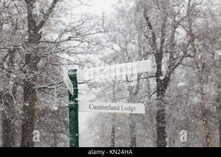 Windsor, Großbritannien. 10. Dezember, 2017. Eine verschneite Zeichen zeigt an, daß die königliche Schule und Cumberland Lodge im Windsor Great Park. Credit: Mark Kerrison/Alamy leben Nachrichten Stockfoto